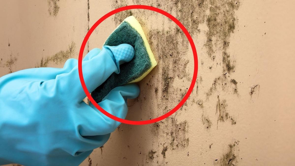 Evin en kirli yeridir! Duvarlar 10 dakikada boyas kmadan nasl temizlenir"