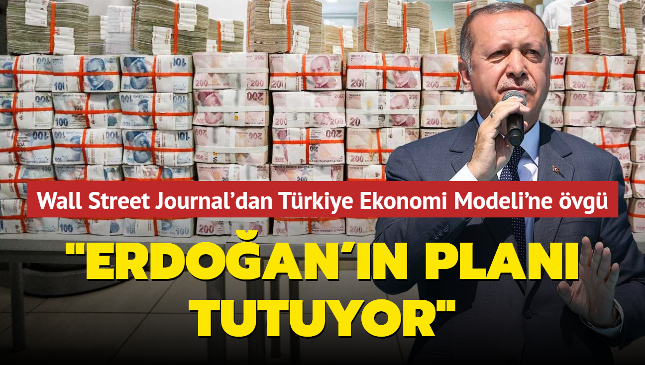 "Erdoan'n plan tutuyor Trkiye TL'ye dnyor"