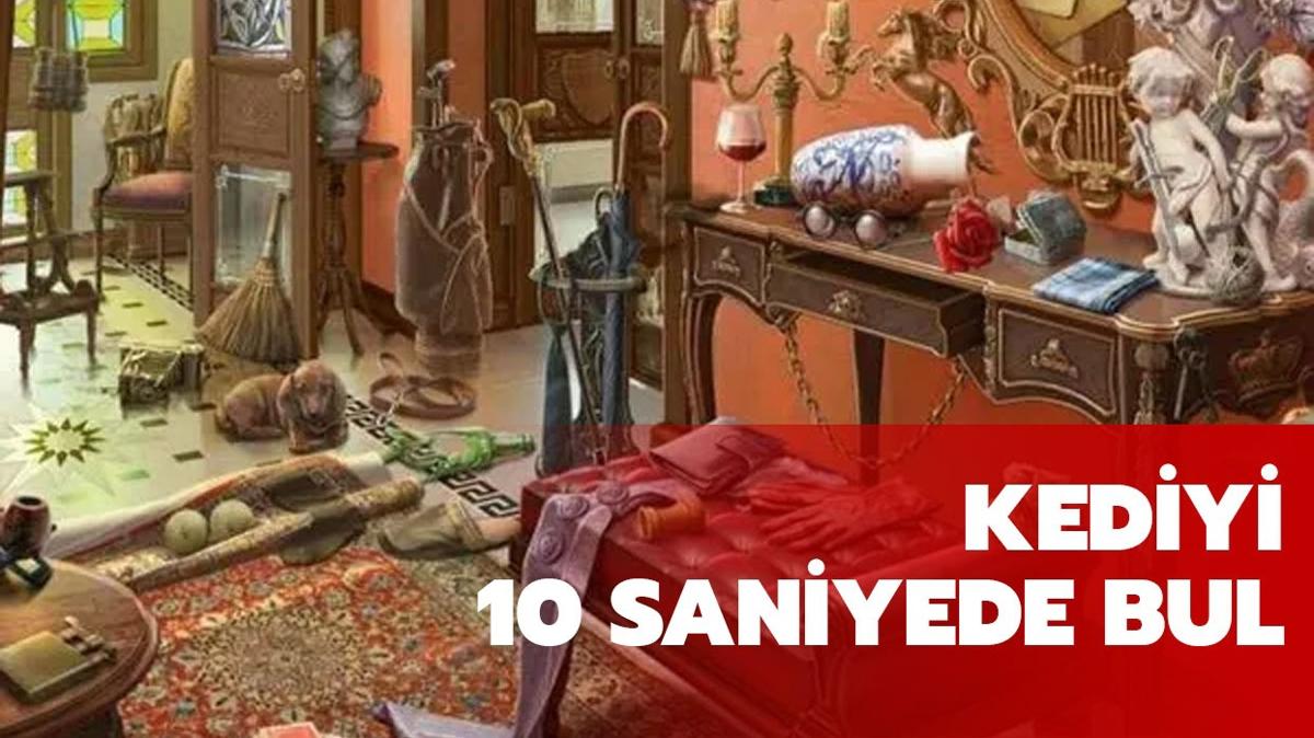 Meydan okumaya hazr msn" 10 kiiden 1'i bile kediyi bulamad!