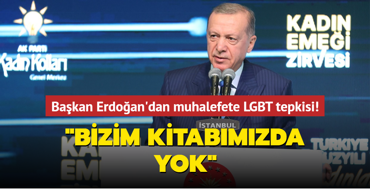 Bakan Erdoan'dan muhalefete LGBT tepkisi: Bizim kitabmzda yok