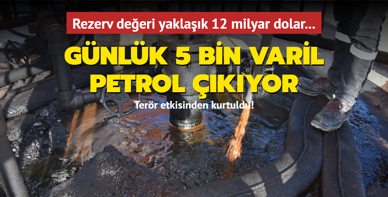 Rezerv deeri yaklak 12 milyar dolar... Terr etkisinden kurtuldu! Gnlk 5 bin varil petrol kyor