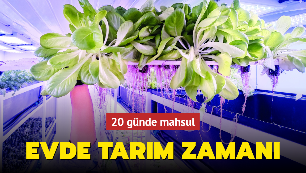 Evde tarm zaman! 20 gnde mahsul