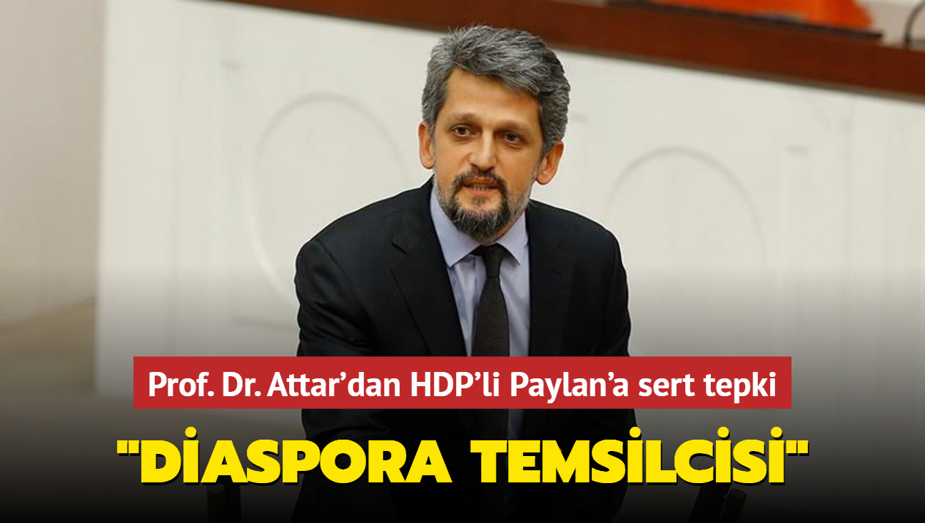 Prof. Dr. Attar'dan HDP'li Paylan'a sert tepki: Diaspora temsilcisi