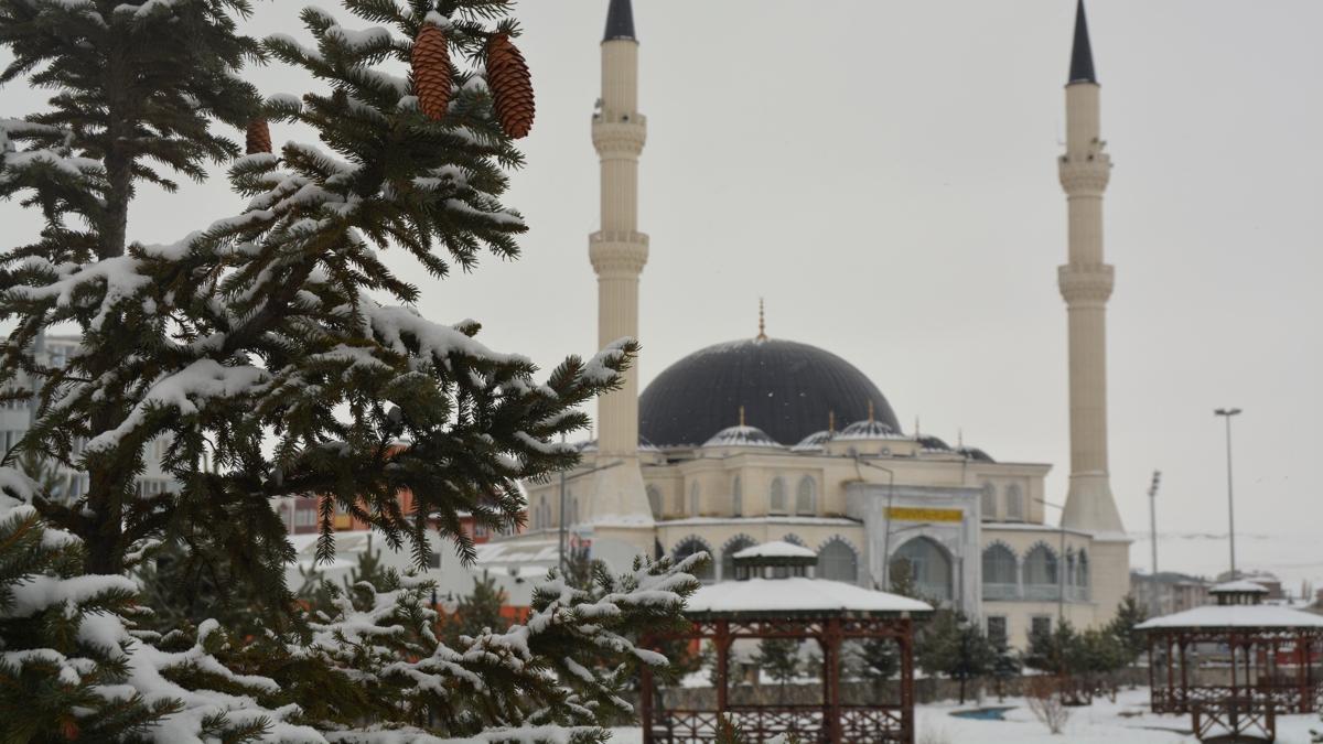 Dou Anadolu'da kar ve souk hava etkili oldu