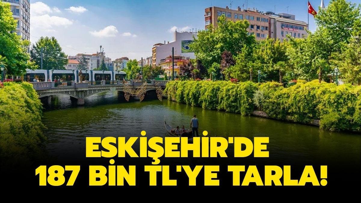 Eskiehir'de 187 bin TL'ye tarla!