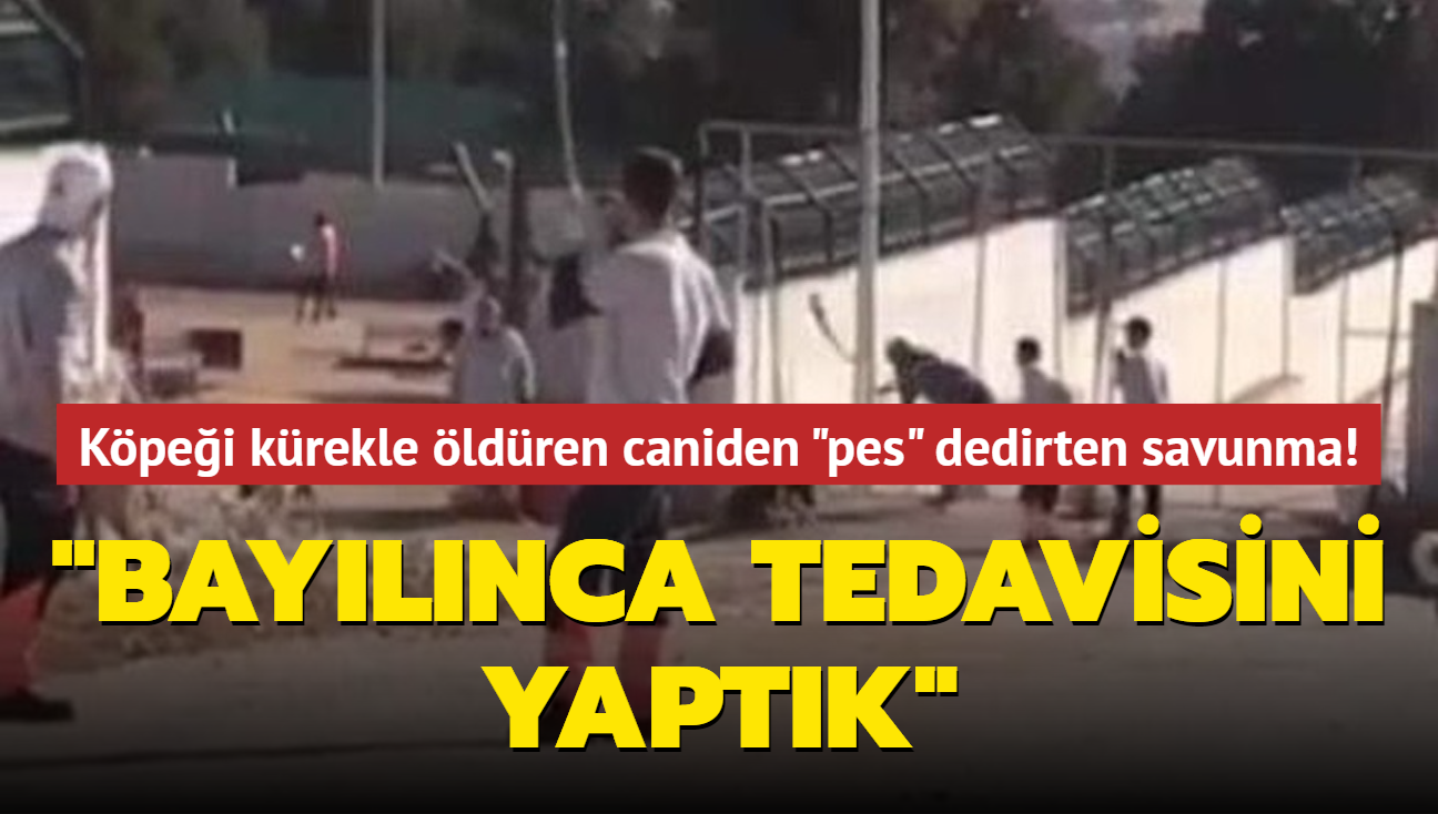 Kpei krekle ldren caniden "pes" dedirten savunma: Baylnca tedavisini yaptk