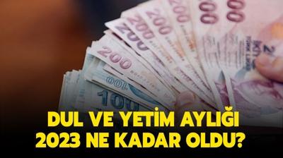 Dul ve yetim maa 2023 ne kadar? En dk ve en yksek yeni dul ve yetim ayl ka TL?