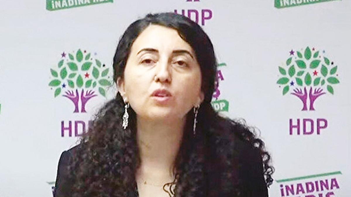 HDP'li Gnay'dan Mehmetik'e irkin iftira
