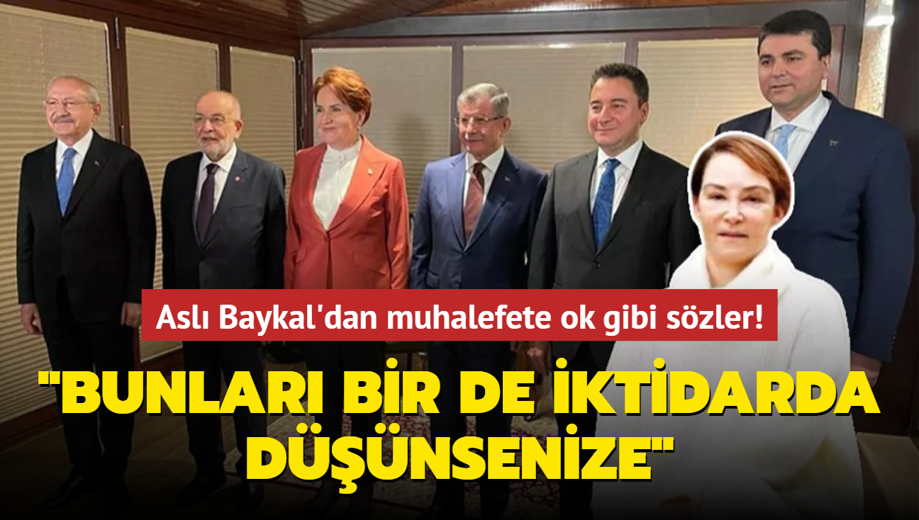 Asl Baykal'dan muhalefete ok gibi szler: Bunlar bir de iktidarda dnsenize