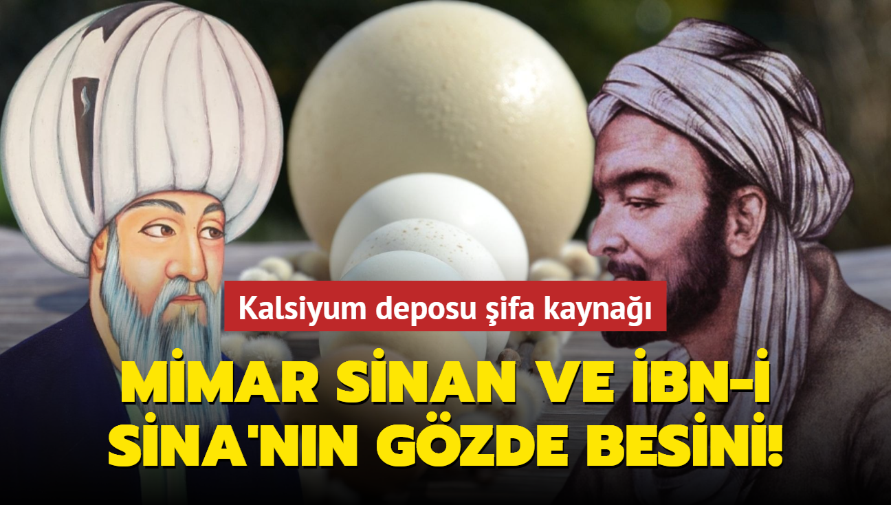 Mimar Sinan ve bn-i Sina'nn vazgeilmez besini! Kalsiyum deposu ifa kayna...