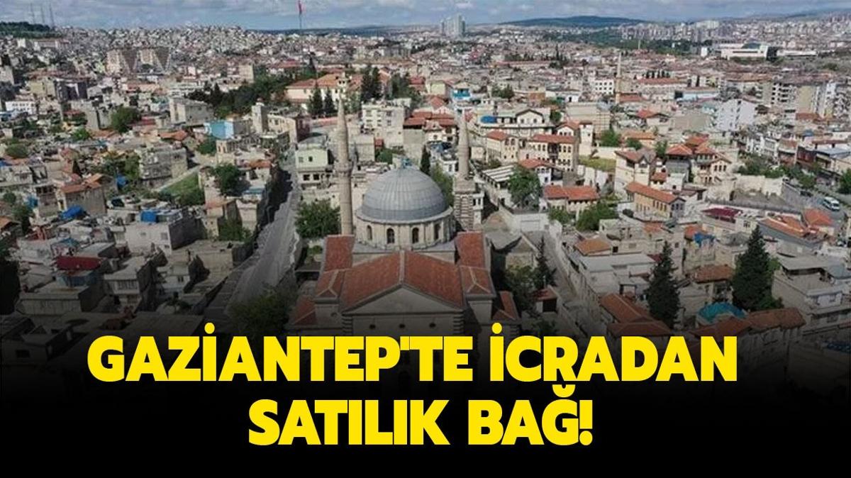 Gaziantep'te icradan satlk tarm arazisi!