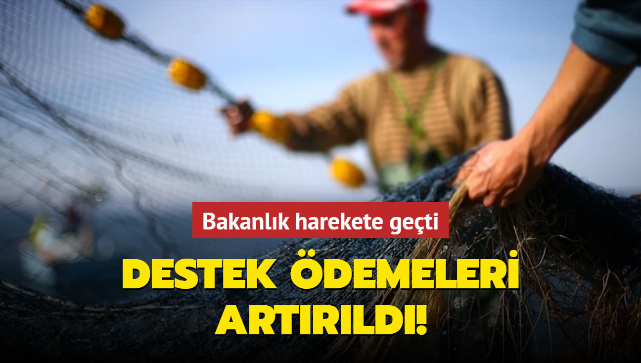 Bakanlk harekete geti! Balklara destek demeleri artrld