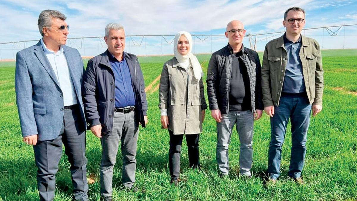 sahra tarm hayvanclk fotoraflar resimleri