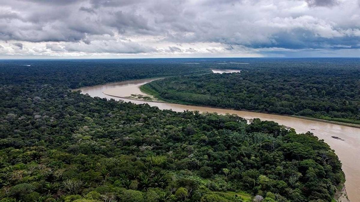Amazonlar'da 2022'de gnde 3 bin futbol sahas byklnde orman yok oldu