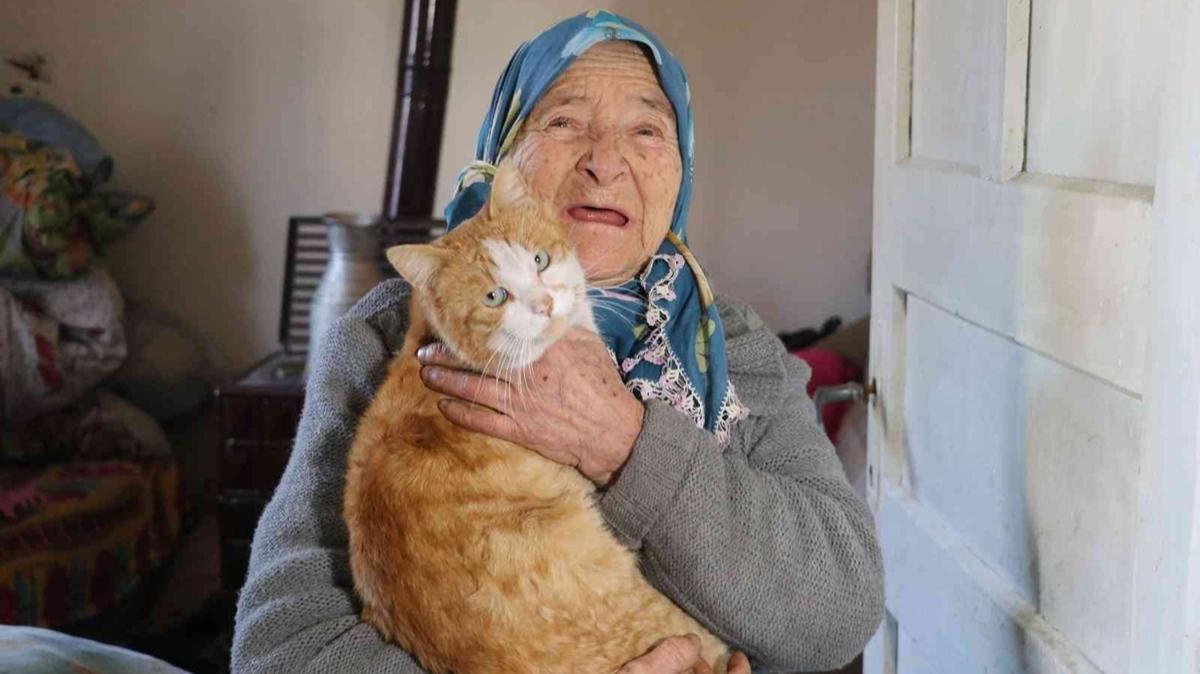 Kedilerin ninesi Fahriye nine , 'yrekleri stan hikayesi' ile sosyal medyada izlenme rekoru krd