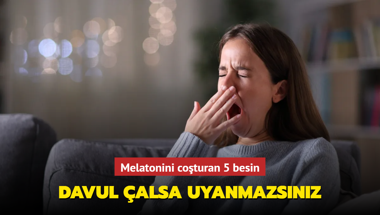 Uyku tulumu gibi 5 besin! Vcutta melatonini coturan gdalar uyumadan nce tketirseniz davul alsa uyanmazsnz