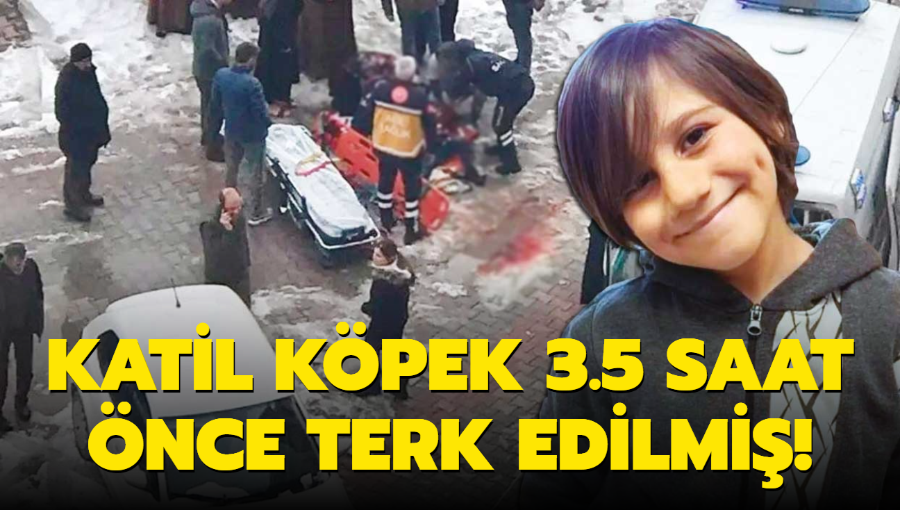 Katil kpek 3.5 saat nce terk edilmi! Baka Mete'ler lmesin