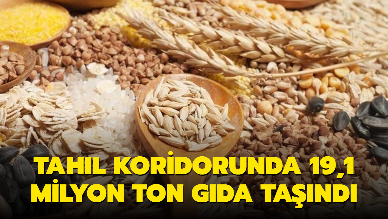 Tahl koridorunda 19,1 milyon ton gda tand