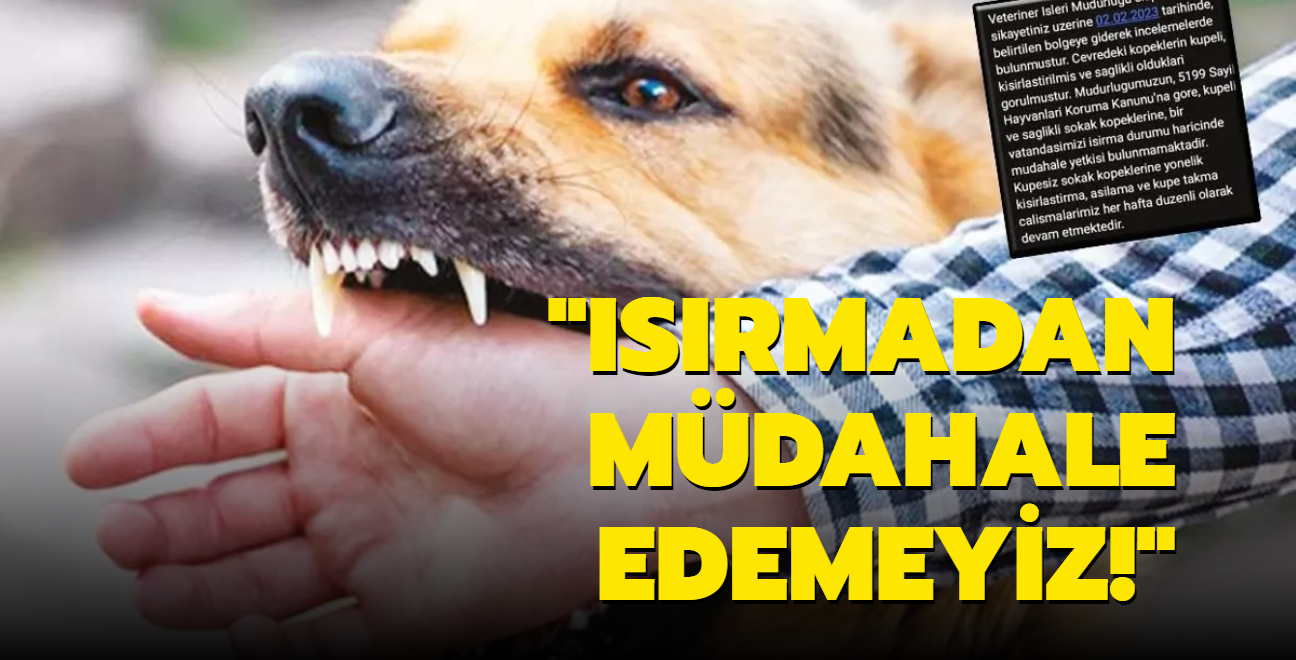 Isrmadan mdahale edemeyiz