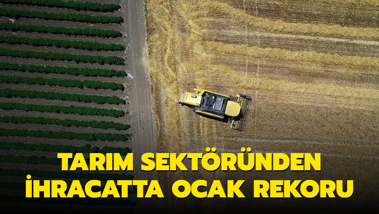 Tarm sektrnden ihracatta ocak rekoru