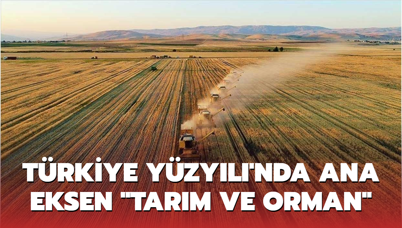Trkiye Yzyl'nda ana eksen 'tarm ve orman'