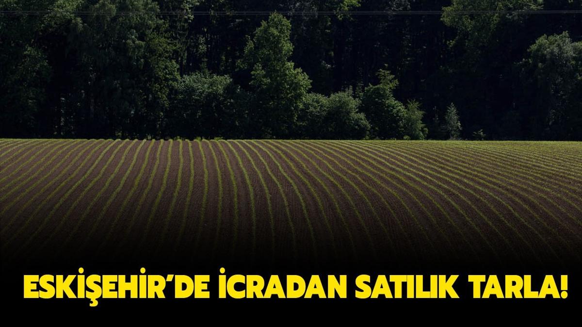 Eskiehir'de icradan satlk tarla!