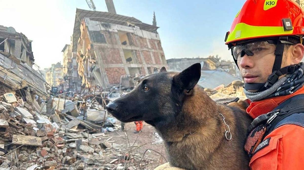 Patileri yara olan 'Kpk' kurtarmaya devam ediyor