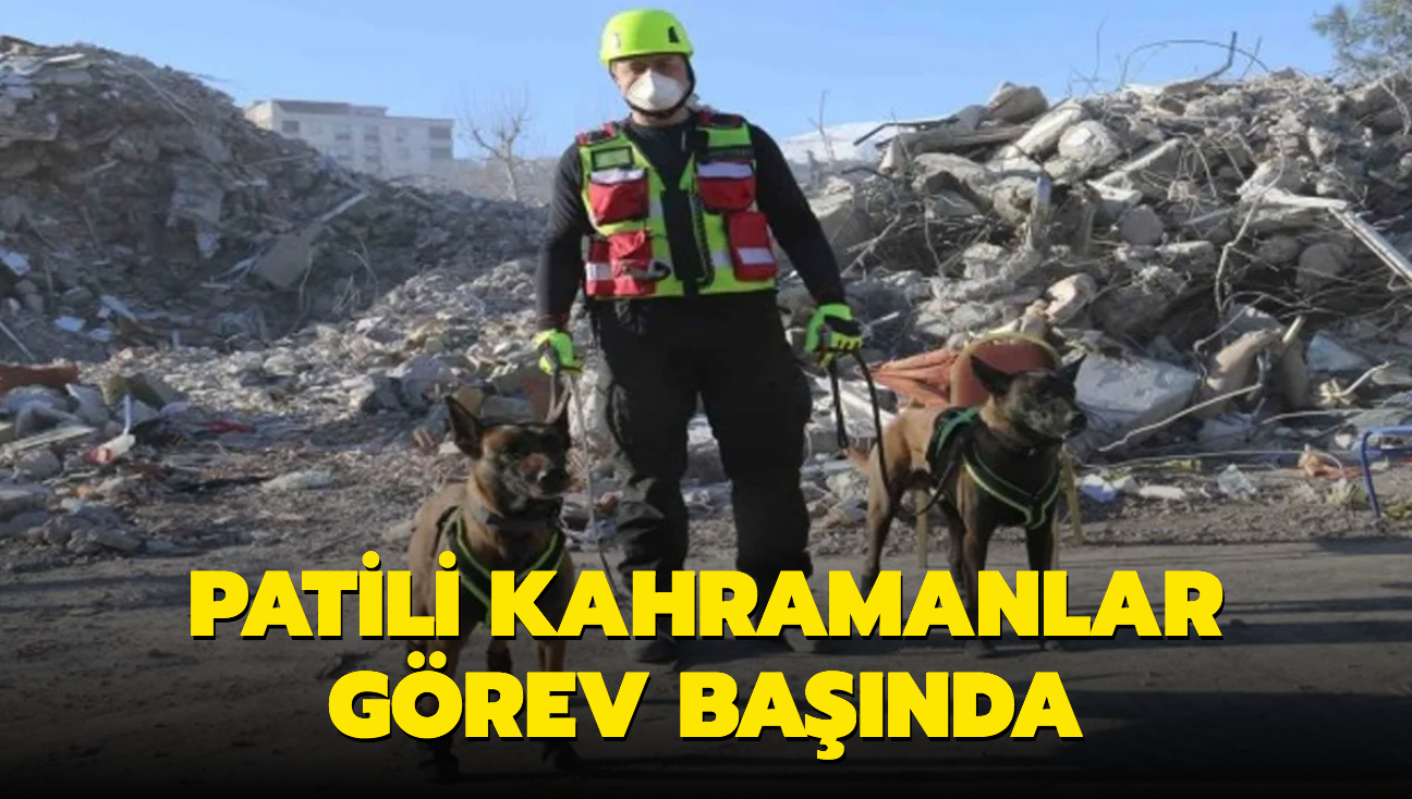 Patili kahramanlar grev banda! 5 gnde 10 kiiye ulatlar