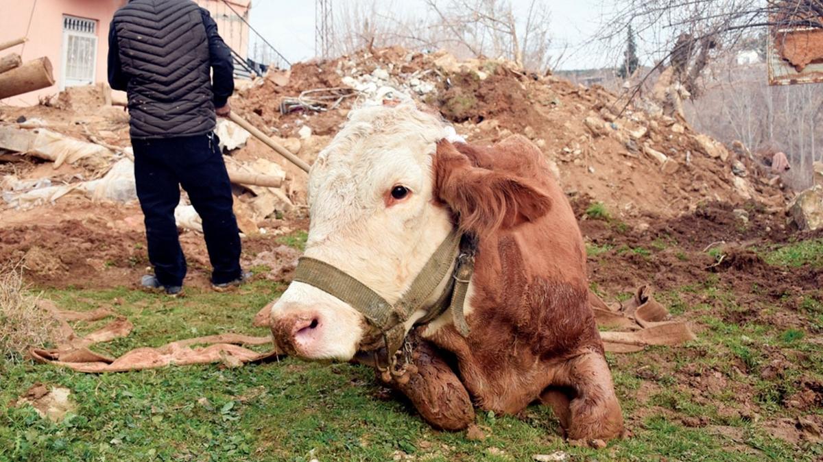 250 bin TL alt borca bavuru art yok! Depremzede iftinin borcuna faizsiz erteleme