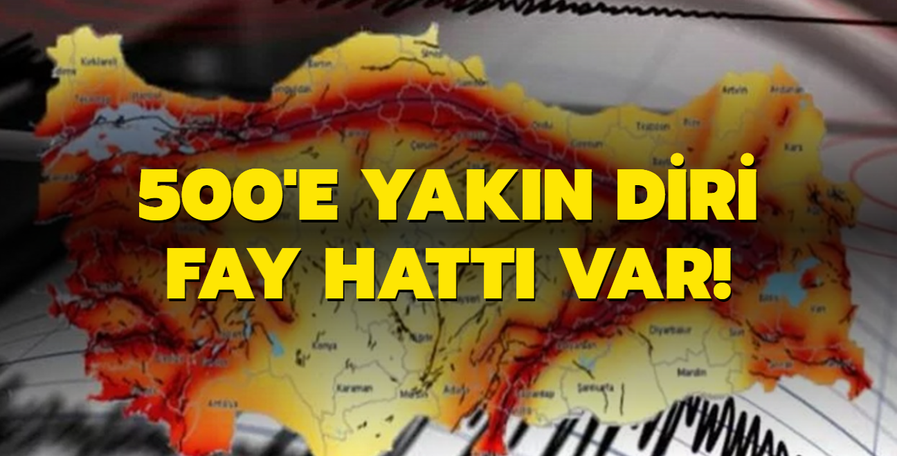 500'e yakn diri fay hatt var! ki ileye dikkat ekildi