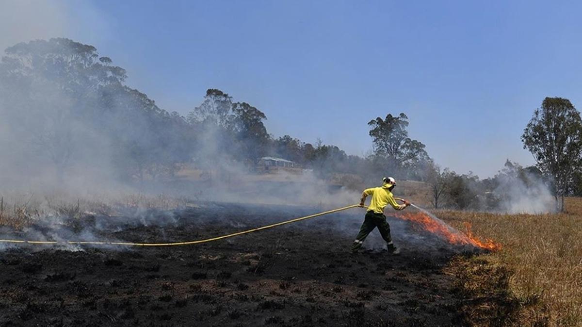 Avustralya'daki yangnlarda 2 bin hektardan fazla ormanlk alan yand