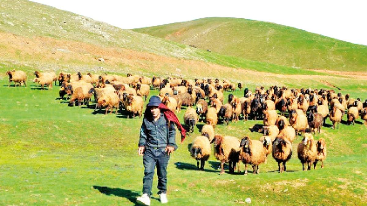 "Yabanc oban 15 bin lira istiyor, maa sabitlensin"