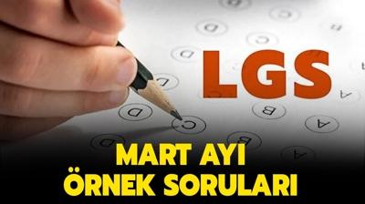 LGS Mart ay rnek sorular 2023: 2023 LGS saysal ve szel rnek sorular iin tkla! 