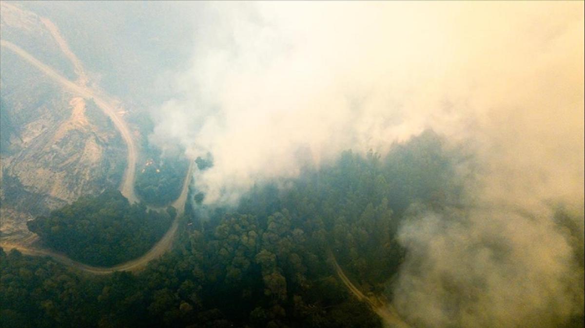Arjantin'de yangnlarda binlerce hektar alan yok oldu