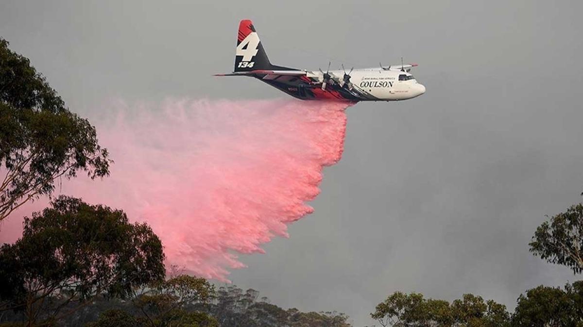 Avustralya'daki yangnlarda 100 bin hektarlk alan zarar grd