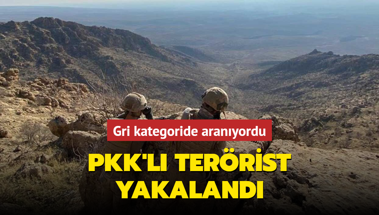 PKK'l terrist yakaland... Gri kategoride aranyordu