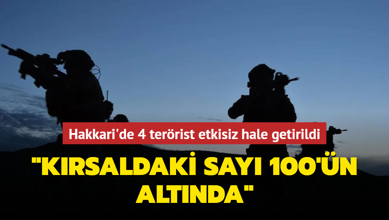 Hakkari'de 4 ter�rist etkisiz hale getirildi