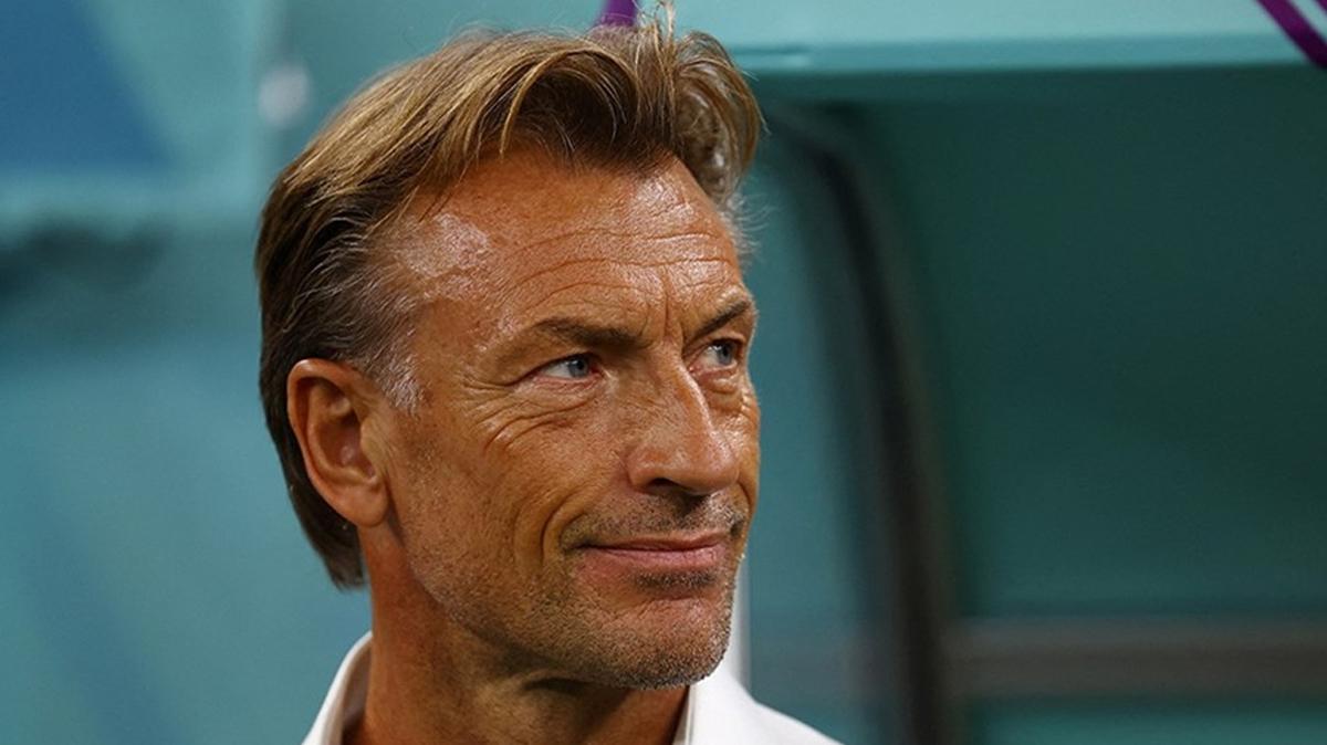 fransa herve renard kadn futbolu avrupa fotoraflar resimleri