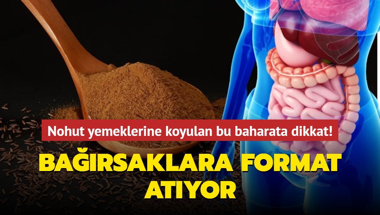 Fasulye ve nohut yemeklerine koyulan bu baharata dikkat! Barsaklara format atyor