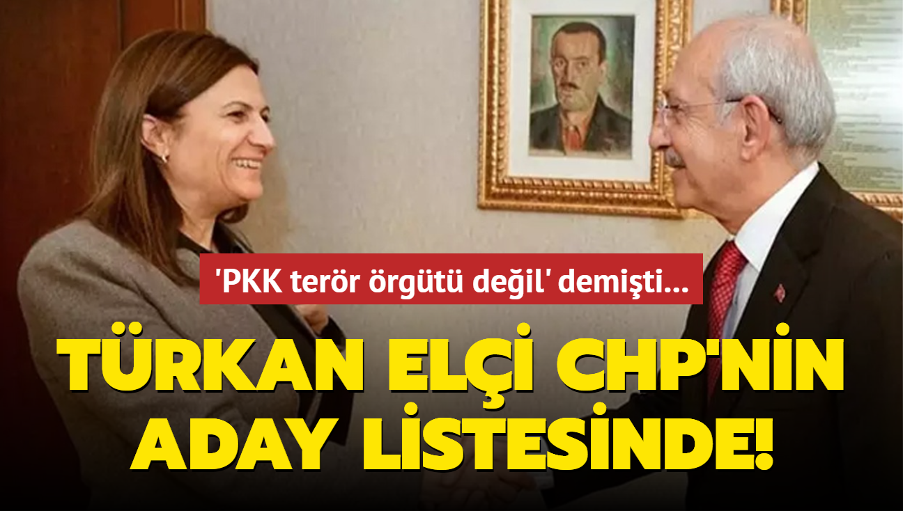 'PKK terr rgt deil' diyen Trkan Eli CHP'nin aday listesinde!