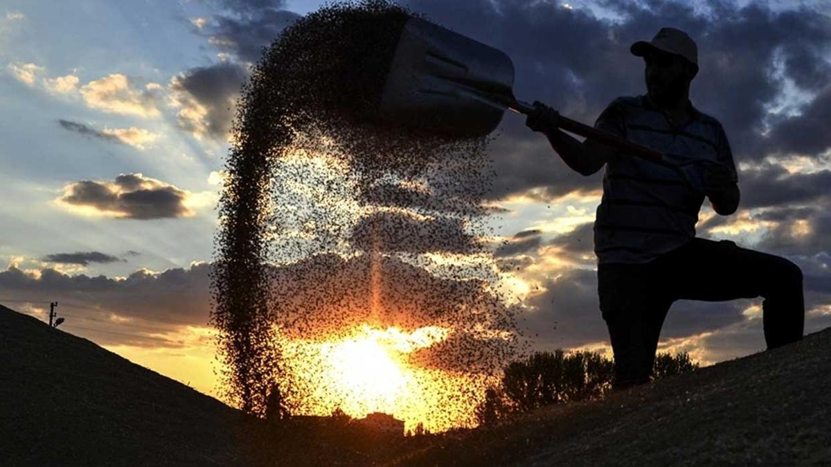 Rusya'ya hububat ve bakliyat ihracat martta yzde 586 artt