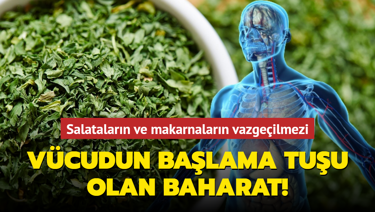 Vcudun balama tuu olan baharat! Salatalarn ve makarnalarn vazgeilmezi