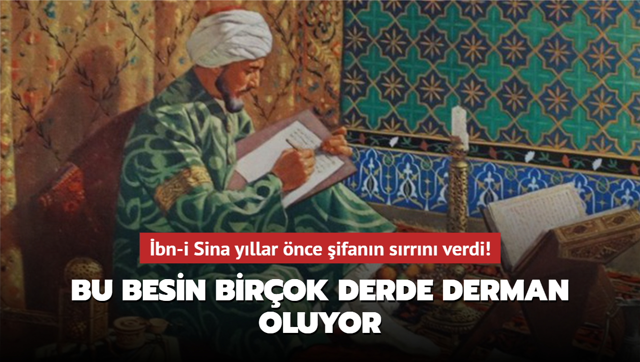 bn-i Sina yllar nce ifann srrn verdi! Bu besin birok derde derman oluyor...