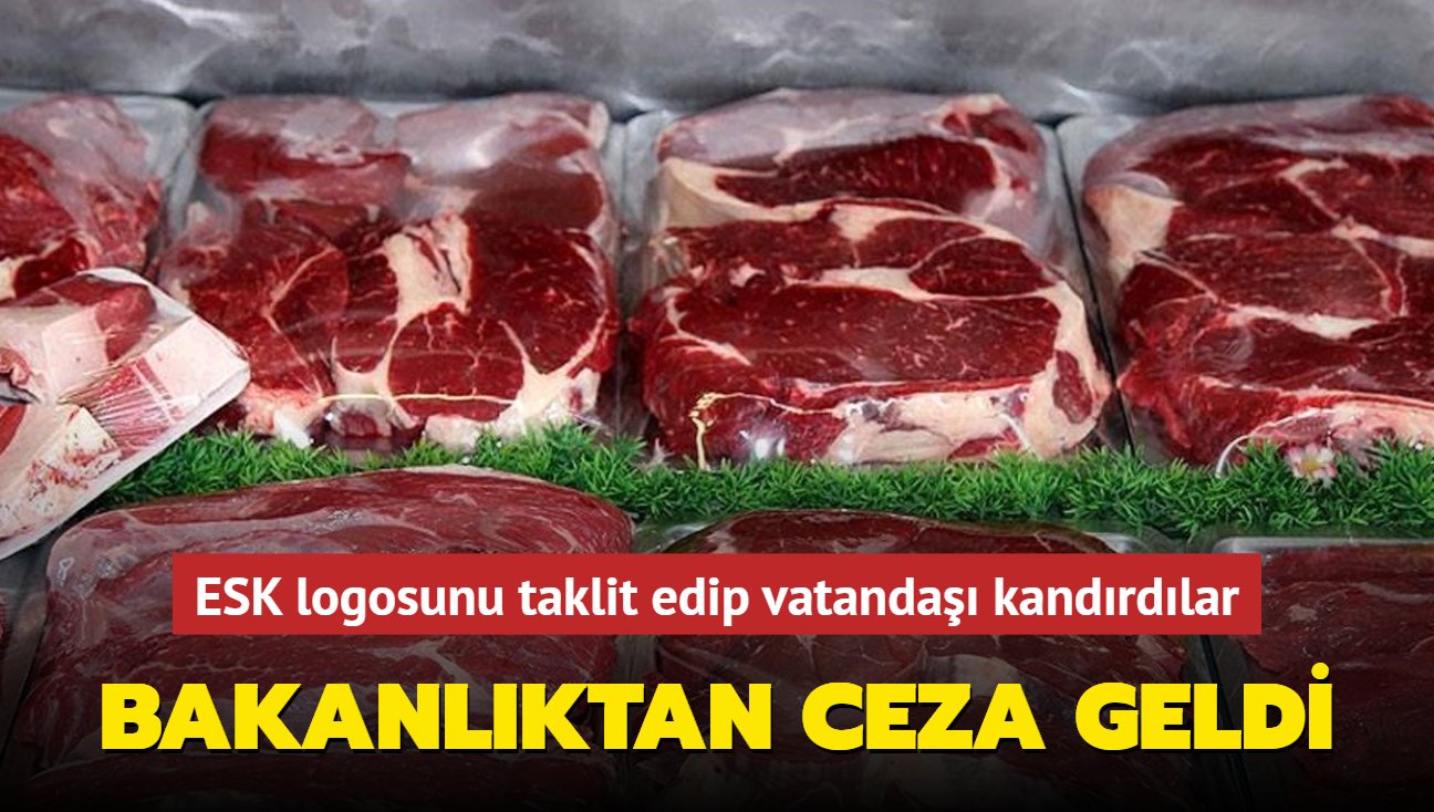 ESK logosunu taklit edip vatanda kandrdlar... Bakanlktan ceza geldi