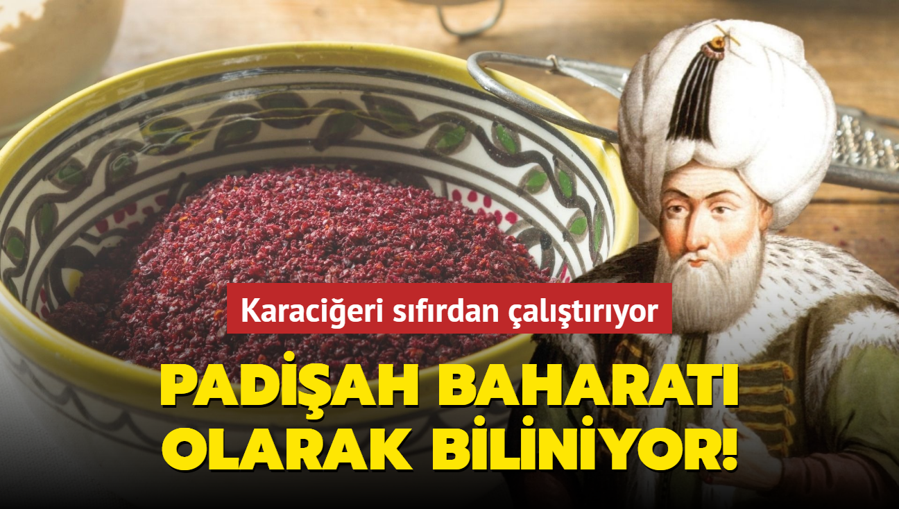 Padiah baharat olarak biliniyor! Karacieri sfrdan altryor