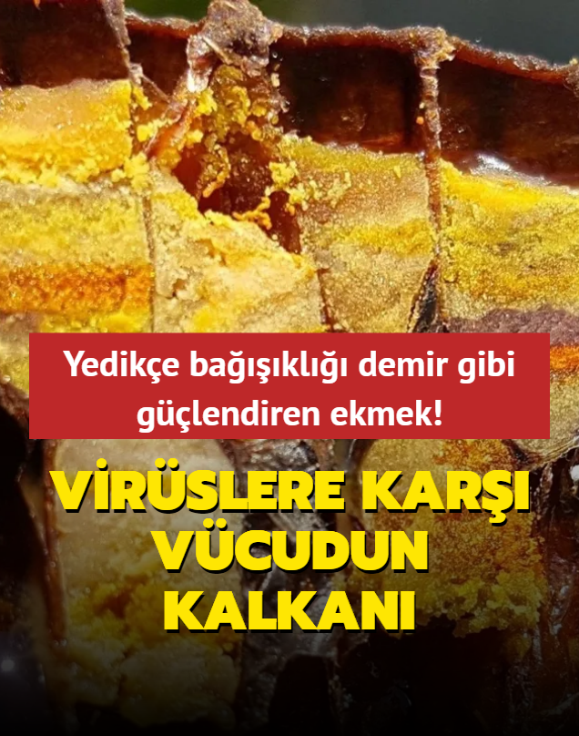 Yedike bakl demir gibi glendiren ekmek! Virslere kar vcudun kalkan