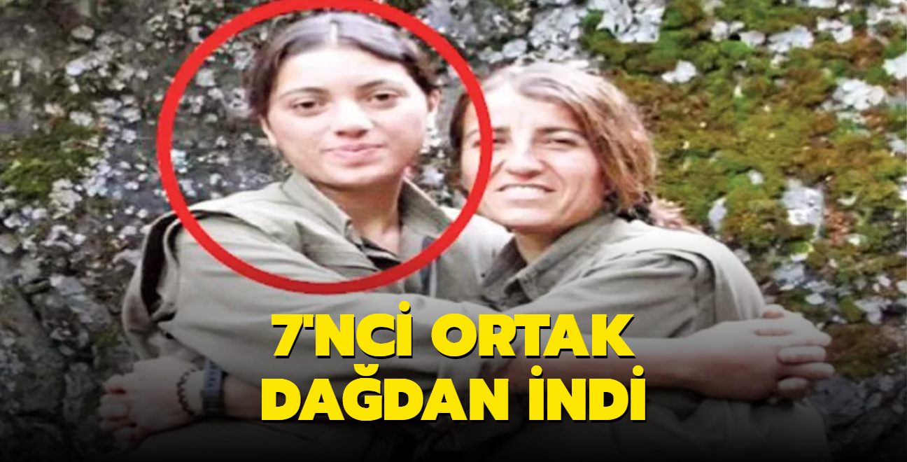 7'nci ortak dadan indi