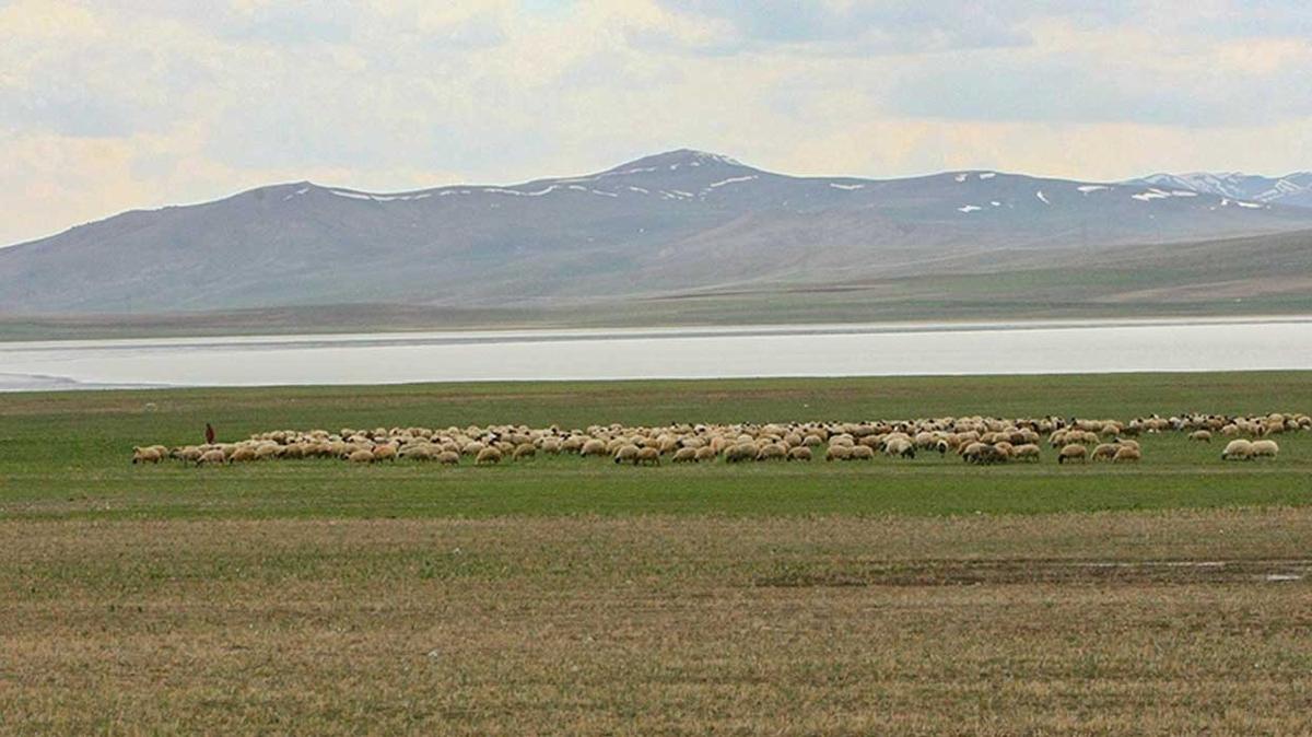 Van'da yazn kuruyan Akgl, son yalarla eski grnmne kavutu