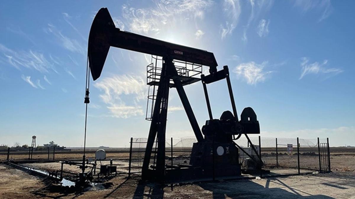TPAO'nun 2 ilde petrol iletme ruhsat sresi uzatld