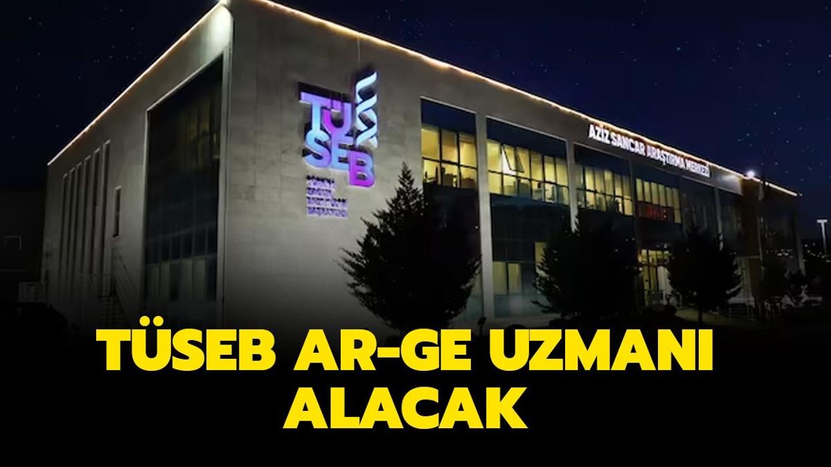 Trkiye Salk Enstitleri Bakanl Ar-Ge Uzman alyor